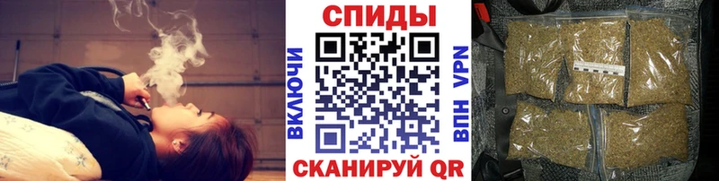 сколько стоит  Сенгилей  hydra рабочий сайт  Бутират 99% 