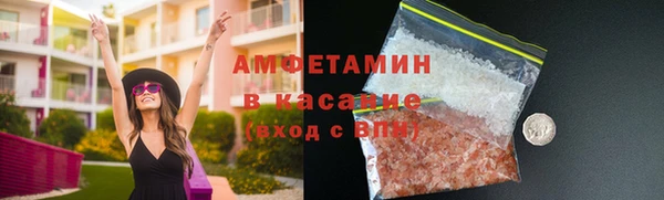 стаф Алзамай