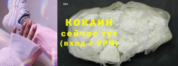 стаф Алзамай