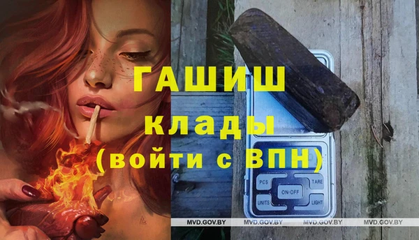 стаф Алзамай