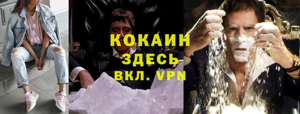 стаф Алзамай