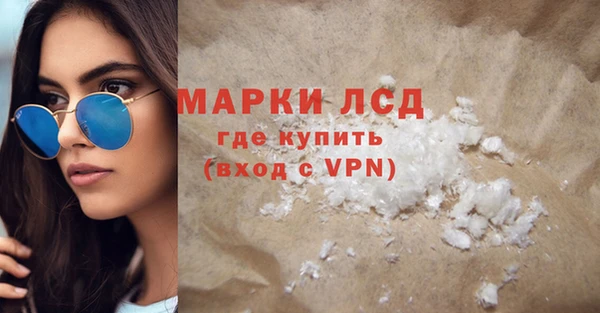 стаф Алзамай