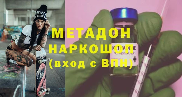 стаф Алзамай