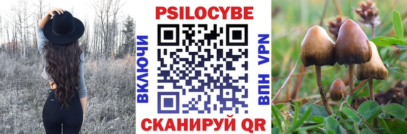 Псилоцибиновые грибы ЛСД  Сенгилей 